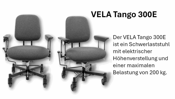 VELA Tango 300E